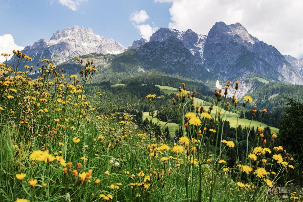 Kaiserhaus Leogang Dış mekan fotoğraf