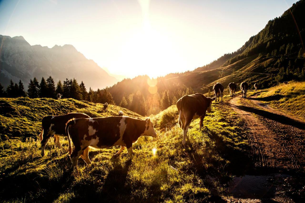 Kaiserhaus Leogang Dış mekan fotoğraf